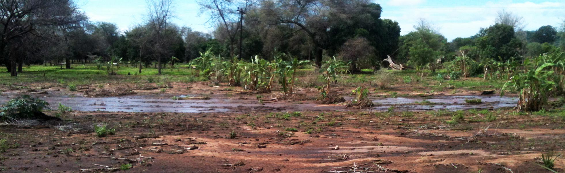 Malawi: ACN supports a project in Karonga Diocese to provide relief to those affected by food shortage