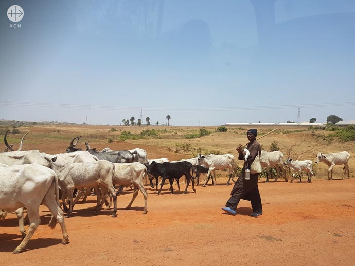 Cattle herders on the road between Jos and Kaduna