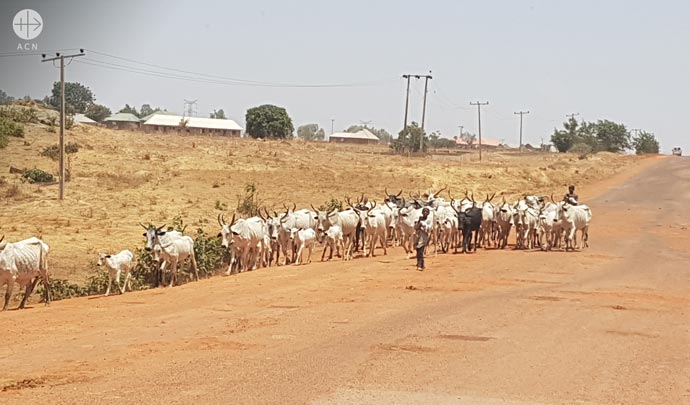 Cattle herders on the road between Jos and Kaduna