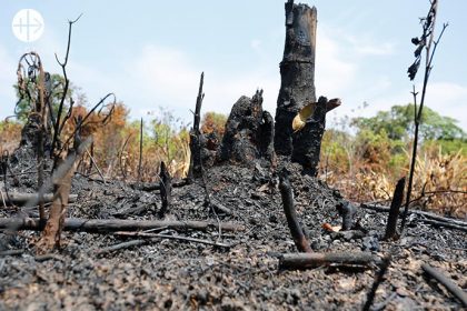 "No entiendo la razón de esta cultura del fuego para limpiar los pastos".