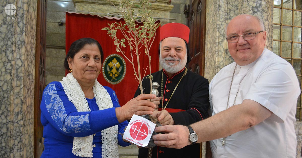 Father Andrzej Halemba distributes olive tree to a Christian woman. Bishop Syriac Orthodox Archbishop Timotheos Moussa Al Shamany looks on